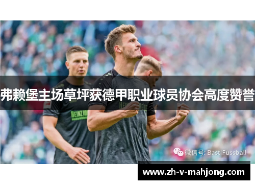弗赖堡主场草坪获德甲职业球员协会高度赞誉 弗赖堡主场草坪获德甲职业球员协会高度赞誉